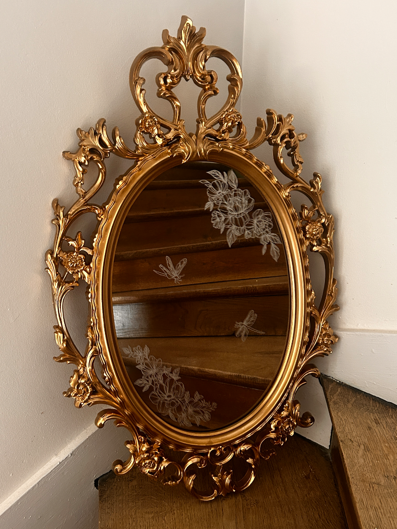 Cadre baroque libellules 